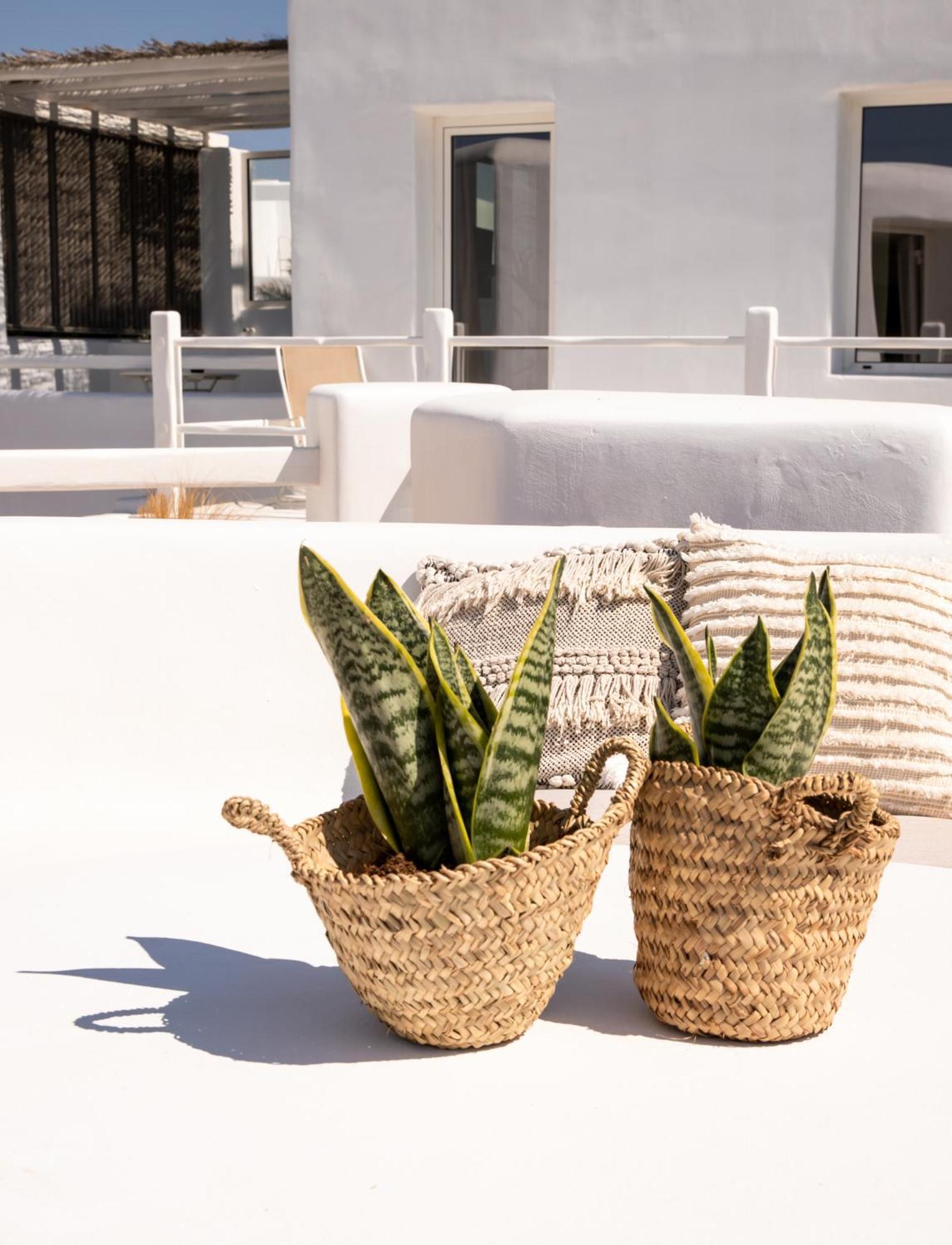 Rocabella Mykonos Hotel Agios Stefanos  Dış mekan fotoğraf